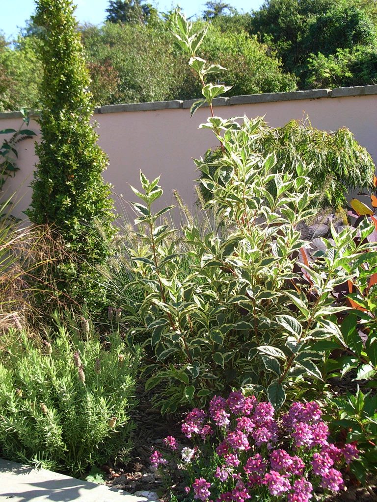 Planting
